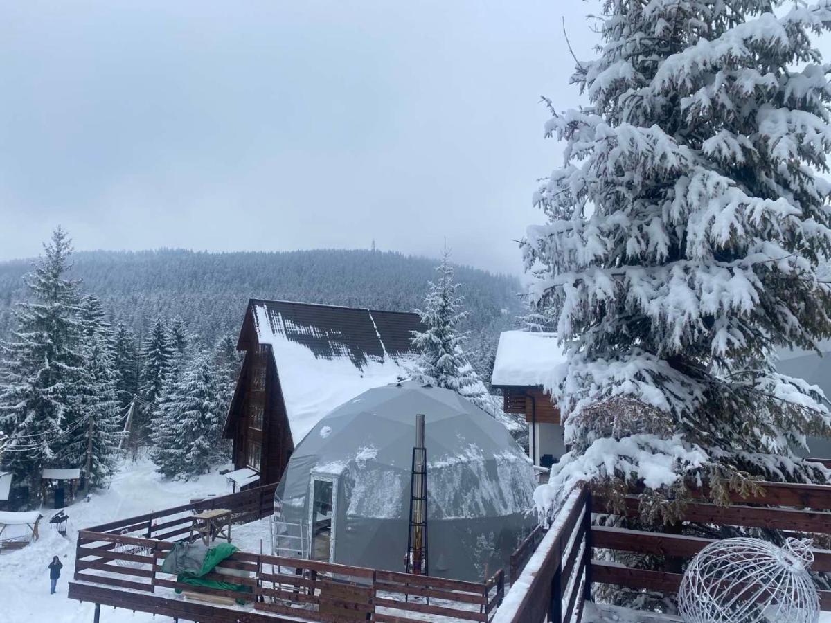 Karpatski Dzherela Jaremtje Exteriör bild