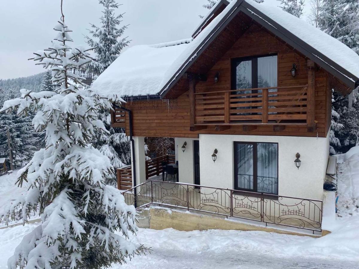 Karpatski Dzherela Jaremtje Exteriör bild