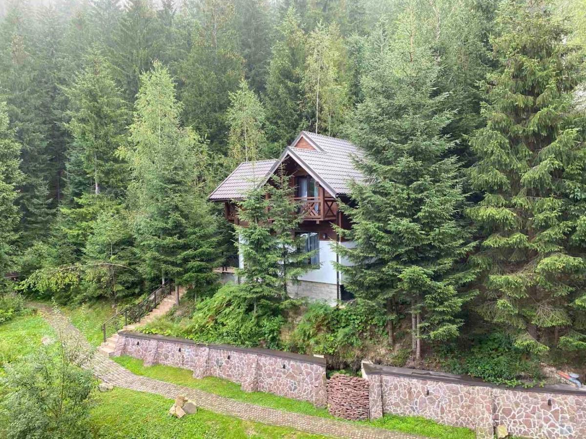Karpatski Dzherela Jaremtje Exteriör bild