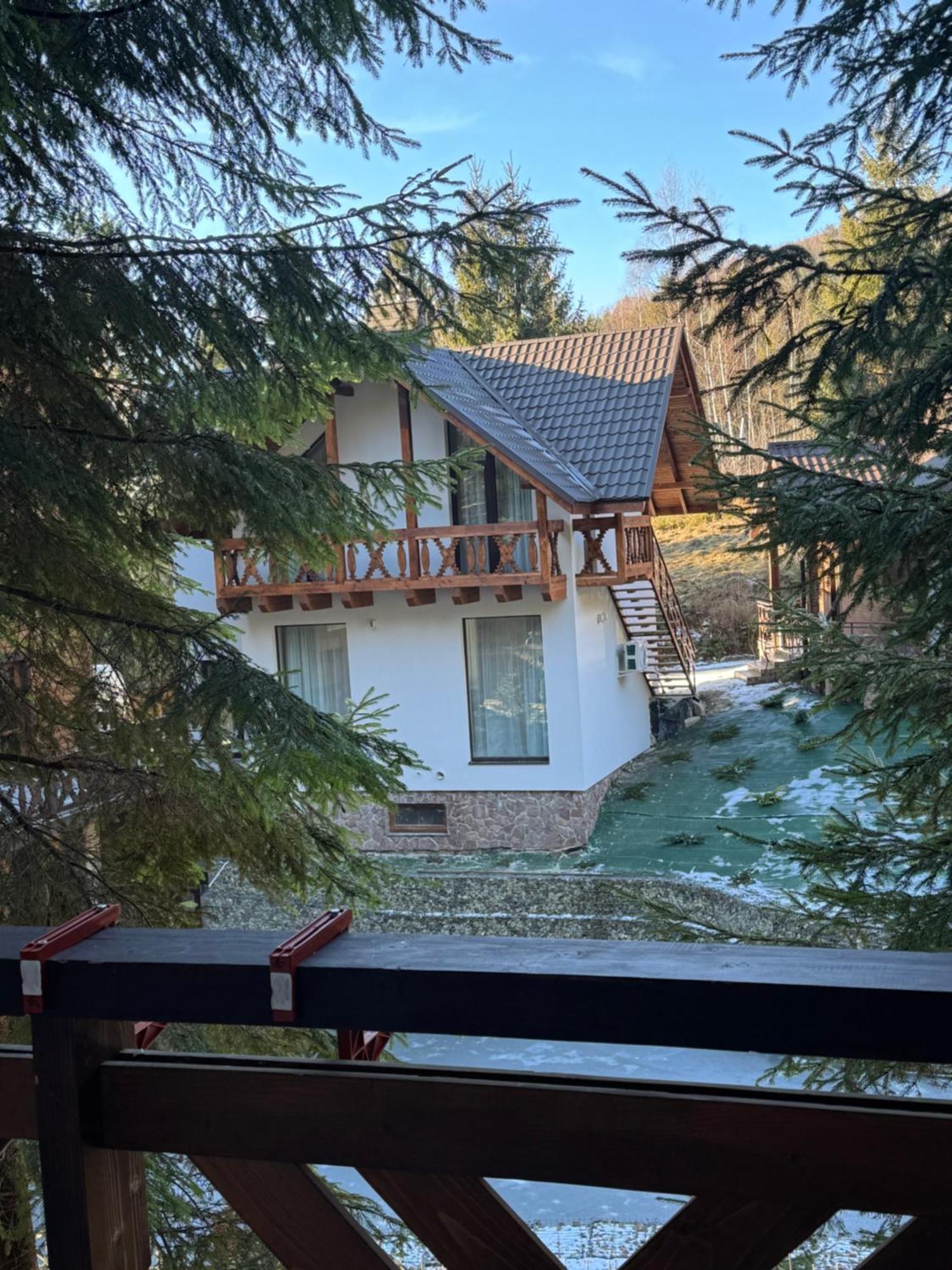 Karpatski Dzherela Jaremtje Exteriör bild